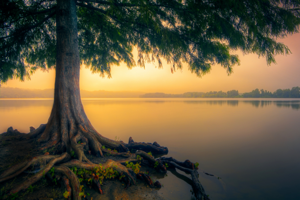 Finding Stillness When Your Mind Feels Busy